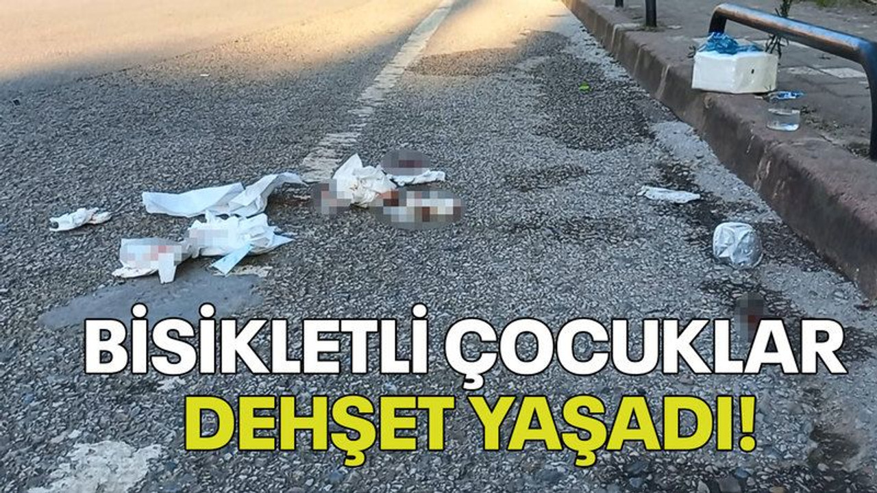 Bisikletli çocuklar dehşet yaşadı!